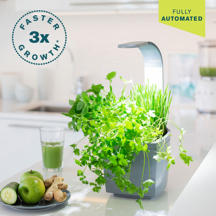 Tregren Kitchen Garden T3 Grey