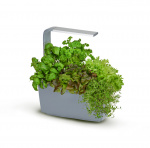 Tregren Kitchen Garden T6 Grey