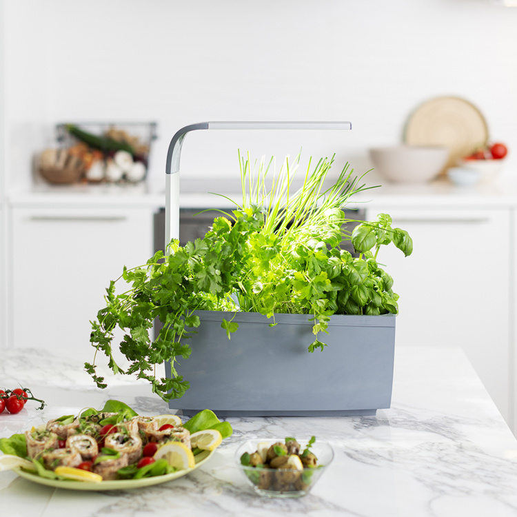 Tregren Kitchen Garden T6 Grey