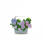 Tregren Kitchen Garden T6 Grey