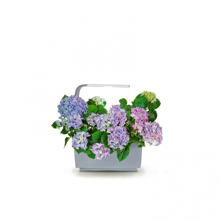 Tregren Kitchen Garden T6 Grey