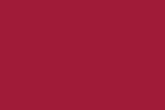 Acrylic based paint Bright Red 22ml