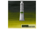 Prof Acrylic 200ML PERMANENT SAP GREEN 503