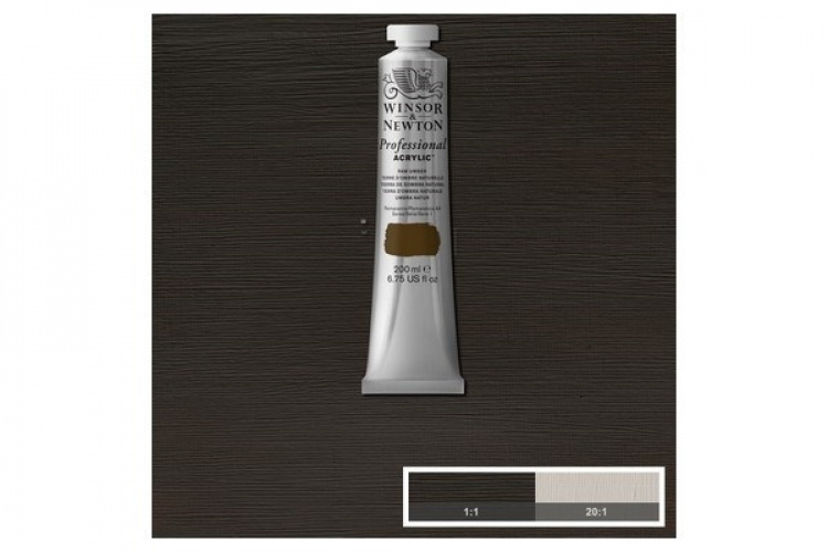Prof Acrylic 200ML RAW UMBER 554