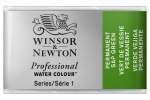 Prof Water Colour Pan/W Perm Sap Green 503