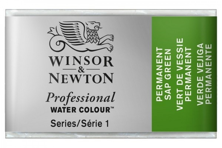 Prof Water Colour Pan/W Perm Sap Green 503