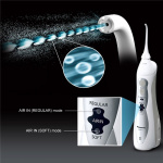 Panasonic Oral Irrigator EW1411