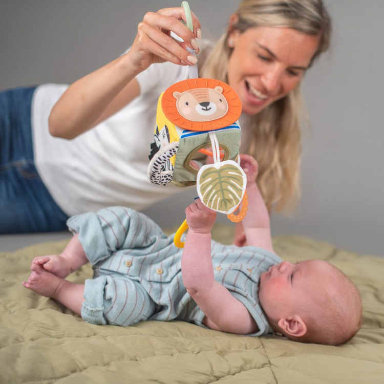 Taf Toys Savannah discovery cube