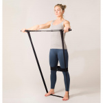 SWEDISH POSTURE MiniGym Exercise Kit