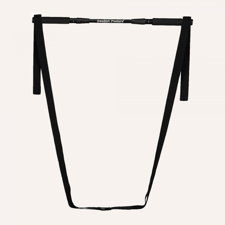 SWEDISH POSTURE MiniGym Exercise Kit