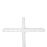 Nedis TV Floor Stand | 50 - 65  Nedis TV Floor Stand | 50 - 65