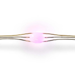 Nedis SmartLife LED Strip | Multi Colour | 5.00 m | IP20 | 2700 - 6500 K | 400 lm | Android™ / IOS