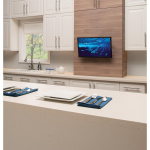 SANUS Tilting Wall Mount 19