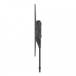 SECURA Tilting Wall Mount 40