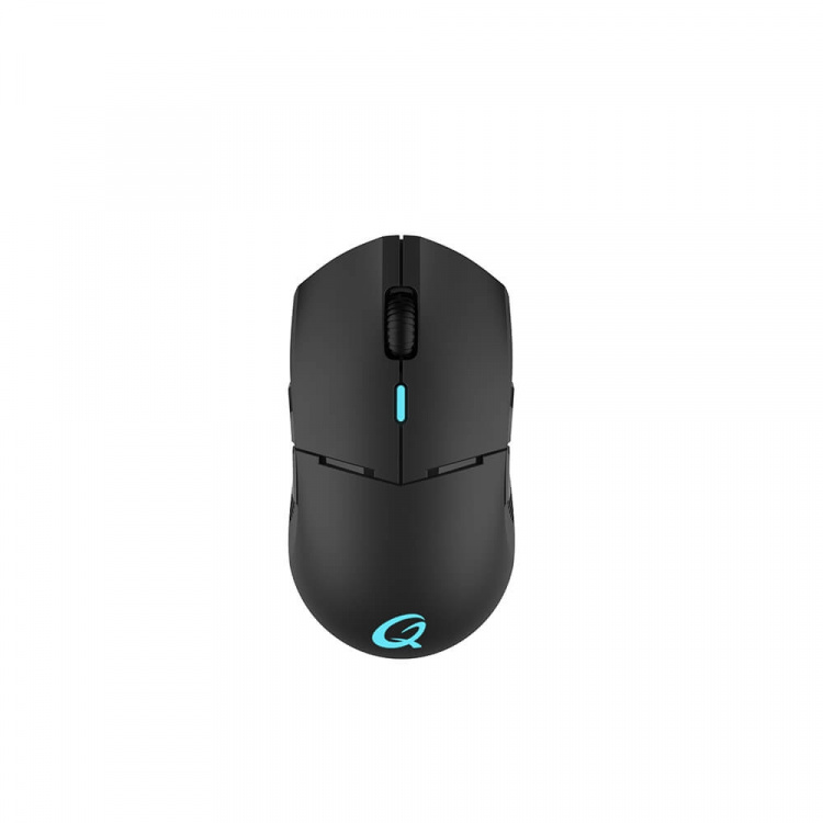 QPAD Gaming Mouse DX900