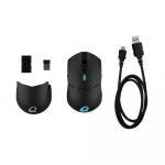 QPAD Gaming Mouse DX900