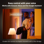 Philips Hue Ensis Pendellampa White/Co