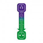 brennenstuhl Travel Adapter USA/Japan-to-Europe Earthed