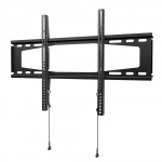 SECURA Fixed Wall Mount 40