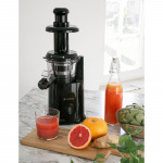 Champion Slowjuicer 1L 200W SJ510 Black