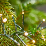 Nedis Christmas Lights | 576 LED\'s | Warm White | 4.20 m | Indoor & Outdoor | Mains Powered Nedis Christmas Lights | 576 LED\'s | Warm White | 4.20 m | Indoor & Outdoor | Mains Powered