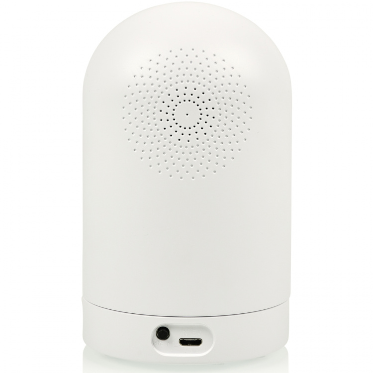 Smartwares IP-kamera Inomhus 2K Google &