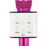LOL Karaoke Microphone