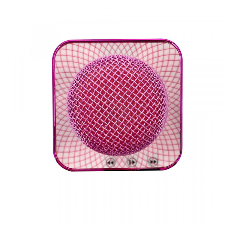 LOL Karaoke Microphone