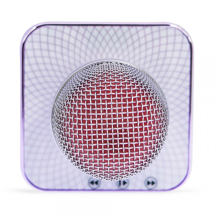 MY LITTLE PONY Karaoke Microphone