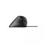 Rapoo Mouse EV200 USB Wired Optical Black Rapoo Mouse EV200 USB Wired Optical Black