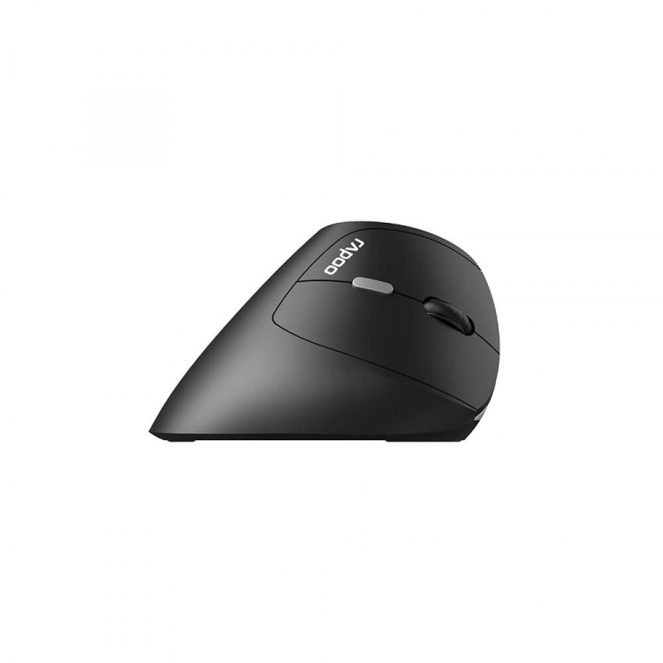 Rapoo Mouse EV250 2.4 GHz Wireless Optical Black Rapoo Mouse EV250 2.4 GHz Wireless Optical Black