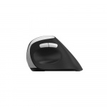 Rapoo Mouse EV250 2.4 GHz Wireless Optical Black Rapoo Mouse EV250 2.4 GHz Wireless Optical Black