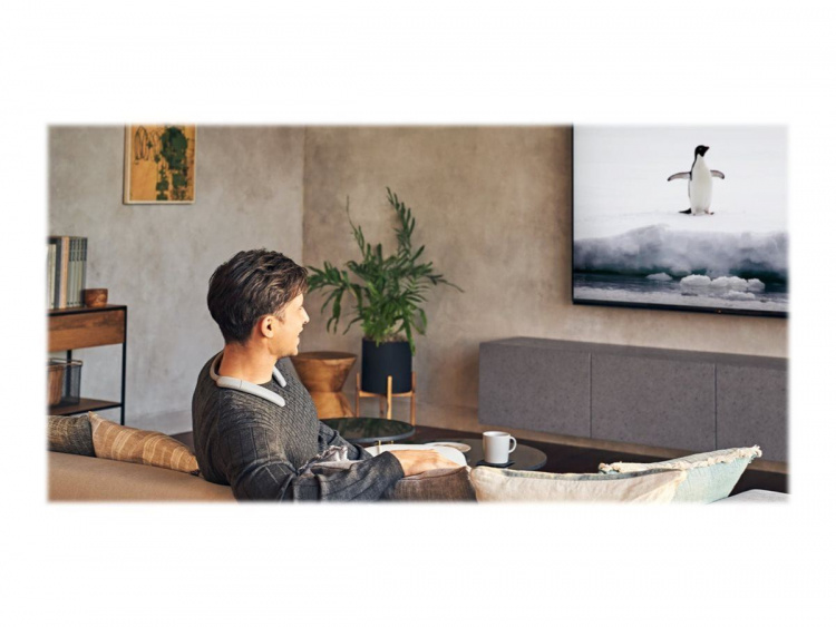 SONY SRSNB10W.CEL 