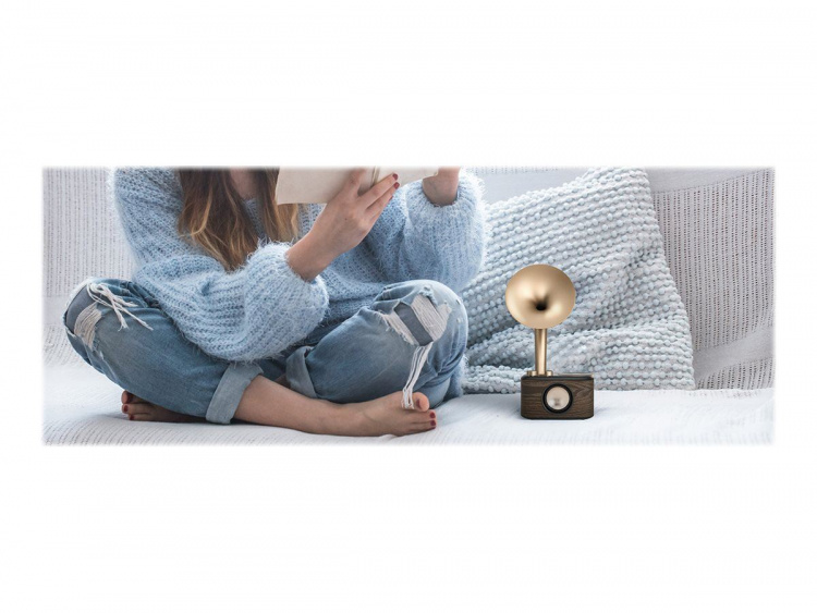 Sangean WR45X Bluetooth FM Radio mörkt trä Gyllenehorn