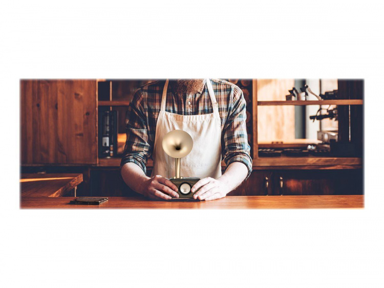 Sangean WR45X Bluetooth FM Radio mörkt trä Gyllenehorn