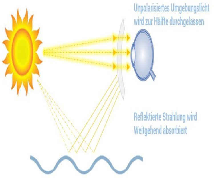 Urbanium Terra Polarizing Bifocal Plus 3,0, Kombinerade Läsglasögon och Solglasögon
