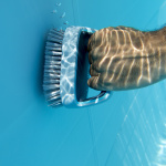 Hand Scrupper Brush Hand Scrupper Brush