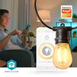 Nedis Smart Christmas lights | Wi-Fi | Warm White | 10 LED\'s | 9.00 m | Android™ / IOS | Bulb diameter: 45 mm