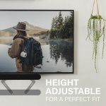 SANUS Mount For Sonos Ray Soundbar SANUS Mount For Sonos Ray Soundbar