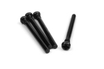 BLACKZON Upper Hinge Pin Screw 3x28mm (Front/Rear/4pcs)