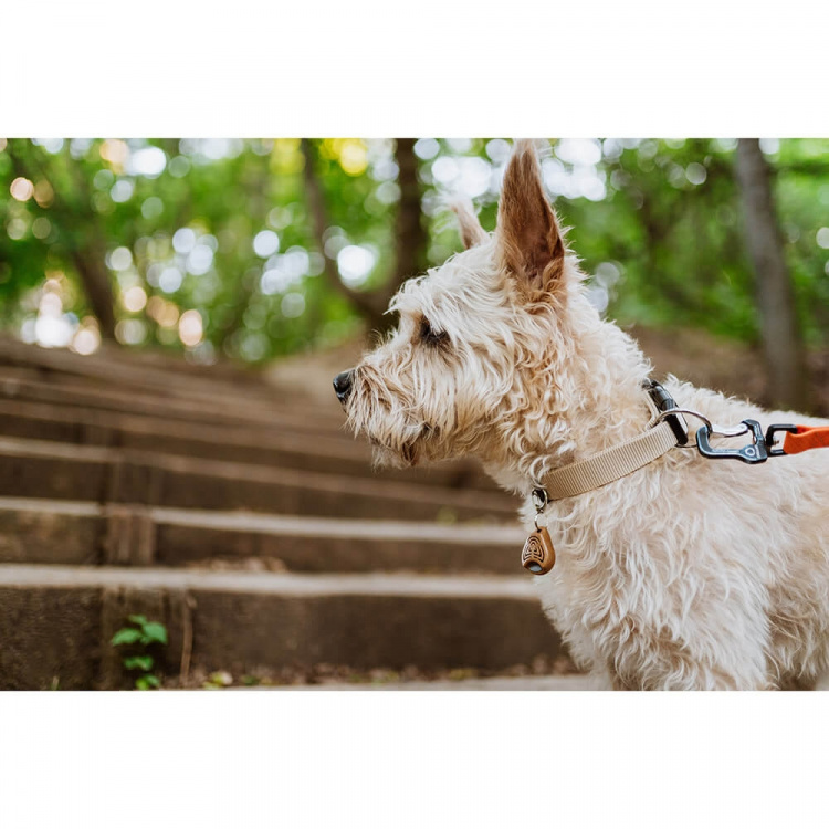 TICKLESS Tick Repellent ECOPET