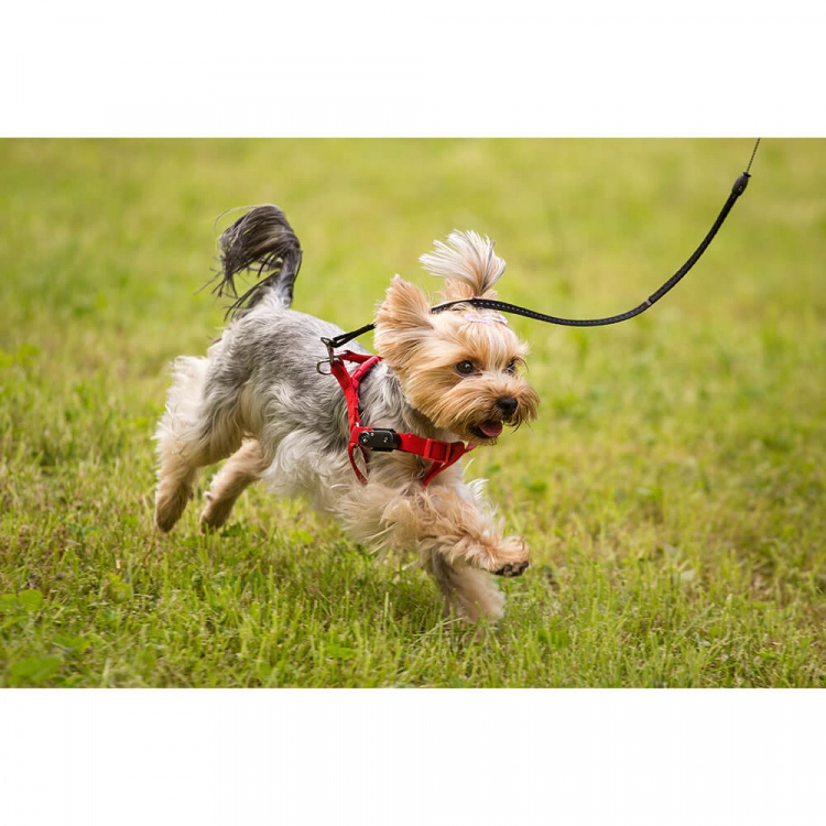 TICKLESS Tick Repellent Mini Dog