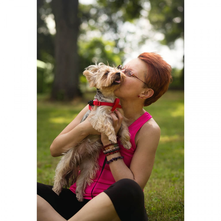 TICKLESS Tick Repellent Mini Dog