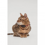 TICKLESS Tick Repellent Mini Cat