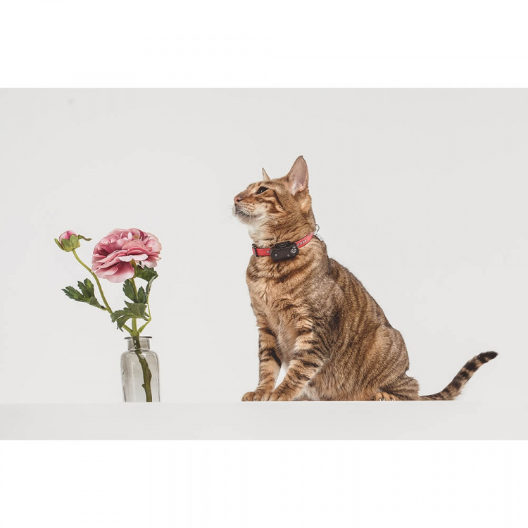 TICKLESS Tick Repellent Mini Cat