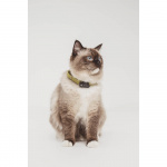 TICKLESS Tick Repellent Mini Cat