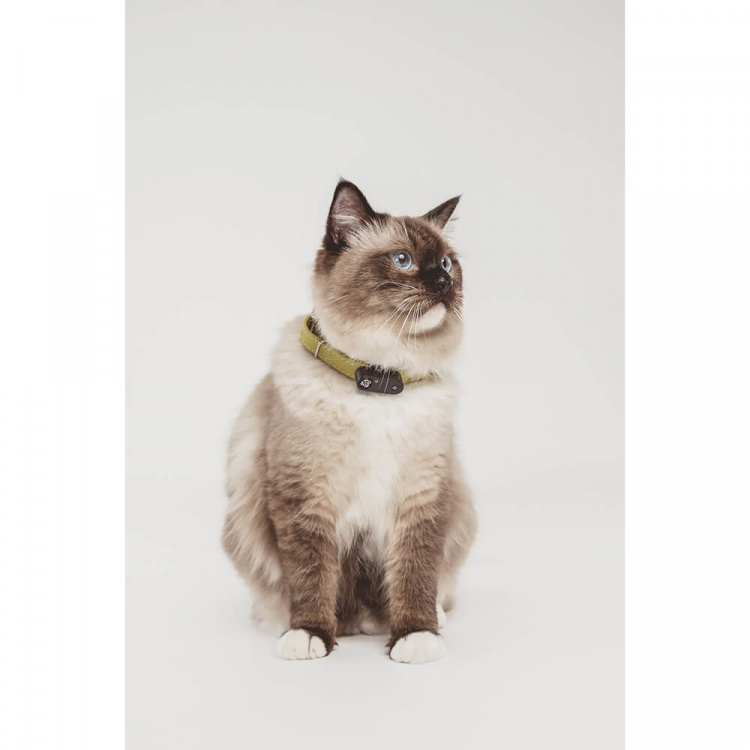 TICKLESS Tick Repellent Mini Cat