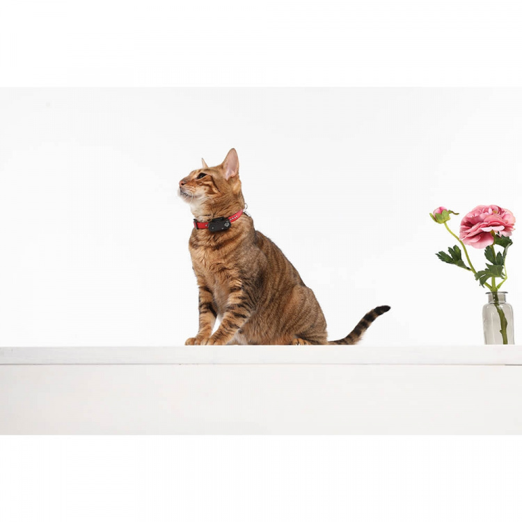 TICKLESS Tick Repellent Mini Cat