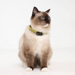 TICKLESS Tick Repellent Mini Cat