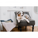 TICKLESS Mite Repellent Home Grey